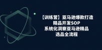 【训练营】亚马逊爆款打造之精品开发SOP，系统化洞察亚马逊精品选品全流程