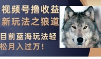 视频号撸收益新玩法之狼道，目前蓝海玩法，轻松月入过万【揭秘】