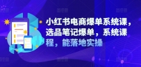 小红书电商爆单系统课，选品笔记爆单，系统课程，能落地实操