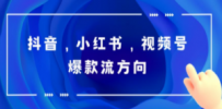 抖音，小红书，视频号爆款流视频制作，简单制作掌握流量密码