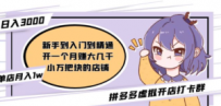 拼多多虚拟开店打卡群：入门到精通（昨日群里有小伙伴日入3000+）2月26更新