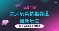 私域宝藏：大人玩具情趣赛道合规新玩法，零投入，私域超高流量成单率高