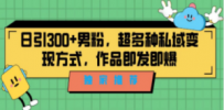 独家推荐！日引300+男粉，超多种私域变现方式，作品即发即报