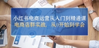 小红书电商运营从入门到精通课，电商店群实战，从0开始到学会