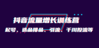 月销1.6亿实操团队·抖音流量增长训练营：起号、选品排品、引流 千川投流