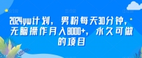 2024YW计划，男粉每天30分钟，无脑操作月入8000+，永久可做的项目【揭秘】