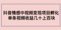 抖音情感中视频变现项目孵化 单条视频收益几十上百