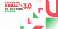 商业IP打造全攻略：差异化SOP3.0流程，短视频协议模板，婚恋项目实战案例