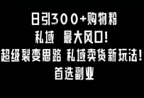 每日引300+购物粉，超级裂变新思路，私域卖货新玩法，小红书首选副业