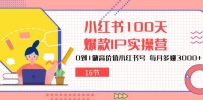 小红书达人速成：100天打造爆款IP，轻松月赚3000+（16节）