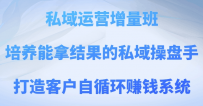私域运营增量班，培养能拿结果的私域操盘手，打造客户自循环赚钱系统