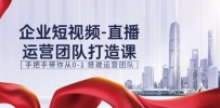 企业短视频-直播运营团队打造课，手把手带你从0-1 搭建运营团队-15节