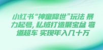 小红书“神童降世”玩法 暴力起号,私域打造聚宝盆 弯道超车 实现年入几十万