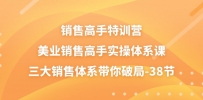 销售-高手特训营，美业-销售高手实操体系课，三大销售体系带你破局-38节