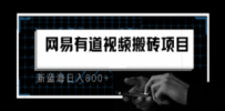 8月有道词典最新蓝海项目，视频搬运日入800+