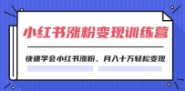 2024小红书涨粉变现训练营，快速学会小红书涨粉，月入十万轻松变现(40节)