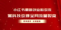小红书最新创业粉引流，黑科技引爆全网流量裂变，简单操作长期吸粉