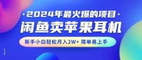 2024年最火爆的项目，闲鱼卖苹果耳机，新手小白轻松月入2W+简单易上手