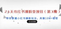 21天小红书涨粉变现营（第3期）：带你掌握小红书爆款玩法，月赚10W+秘密