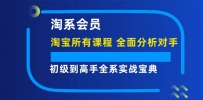 淘系会员【淘宝所有课程，全面分析对手】，初级到高手全系实战宝典