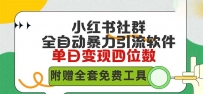 小红薯社群全自动无脑暴力截流，日引500+精准创业粉，内含免费工具