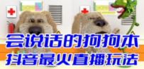 抖音无人直播玩法会说话的狗狗本弹幕礼物互动小游戏（游戏软件+开播教程）
