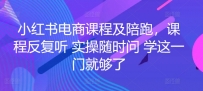 小红书电商实战陪跑课程，一套学会开店、选品、爆款打造！