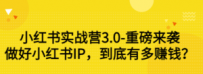 小红书实战营3.0-重磅来袭：做好小红书IP，到底有多赚钱