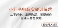 小红书电商实战训练营，从零起步，掌握选品、笔记创作、店铺运营全攻略…