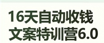 16天自动收钱文案特训营6.0，学会儿每天自动咔咔收钱