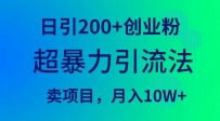 超暴力引流法，单日引200+创业粉，卖项目月入10万+