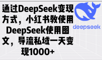 通过DeepSeek变现方式，小红书教使用DeepSeek图文，导流私域一天变现1000+