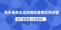 淘系电商运营高手特训：全店动销经营模式，线下课录音+文档资料