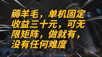 薅羊毛项目，单机三十元，做就有，可无限矩阵 无任何难度