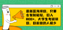 最新蓝海项目，只要会复制粘贴，日入800+，大学生考研项目，目前做的人极少