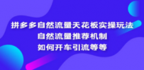 拼多多自然流量天花板实操玩法：自然流量推荐机制，如何开车引流