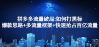 拼多多流量破局:如何打黑标，爆款思路+多流量框架+快速抢占百亿流量