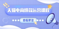 天猫电商爆款运营课程，爆款卖点提炼与流量实操，多套模型全面学习