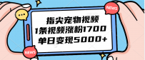 指尖宠物视频，1条视频涨粉1700，单日变现5000+