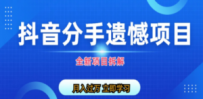 自媒体抖音分手遗憾项目私域项目拆解