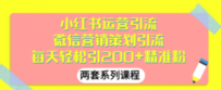 小红书运营引流+微信营销策划引流，每天轻松引200+精准粉