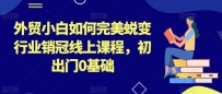 外贸小白如何完美蜕变行业销冠线上课程，初出门0基础