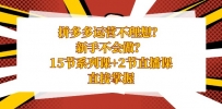 拼多多运营课程，新手不会做？15节系列课+2节直播课，直接掌握