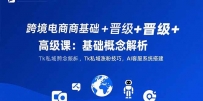 跨境电商基础+晋级+高级课：基础概念解析,Tk私域涨粉技巧,AI客服系统搭建