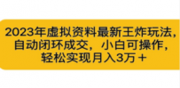 2023年虚拟资料最新王炸玩法，自动闭环成交，小白可操作，轻松实现月入3…