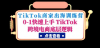 ikTok商家出海训练营：0-1快速上手 TikTok跨境电商底层逻辑