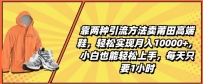 靠两种引流方法卖莆田高端鞋，轻松实现月入1W+，小白也能轻松上手，每天只要1小时【揭秘】