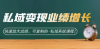 私域·变现业绩增长：快速放大成绩，可复制的·私域系统课程