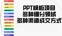 PPT模板项目，多种细分领域，多种渠道成交方式，实操教学