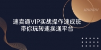 速卖通 VIP实战操作-速成班，带你玩转速卖通平台（23节）